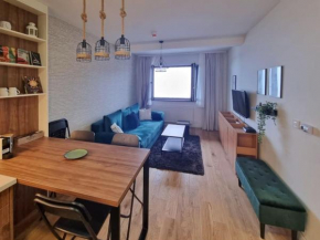 Cozy Mountain Apartment VIDIK